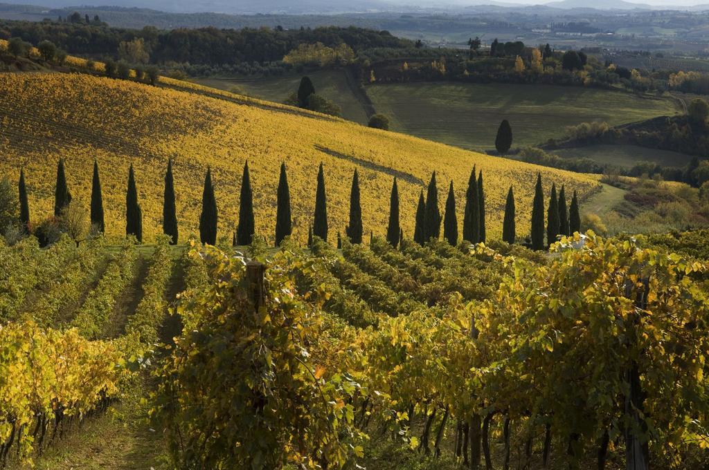 Agriturismo Campo Lungo San Donato in Poggio Номер фото